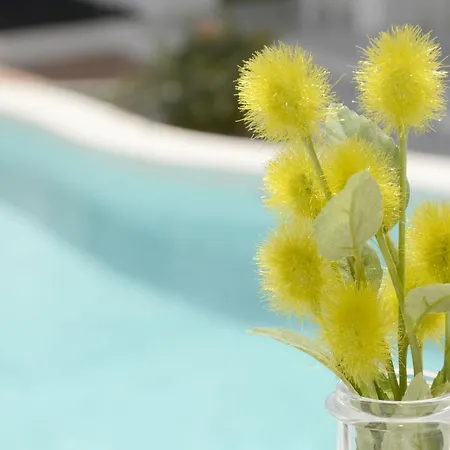 Gibshouses Rosa Apartment Puerto del Carmen (Lanzarote)
