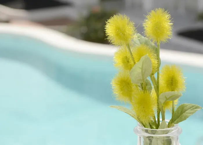 Gibshouses Rosa Apartment Puerto del Carmen (Lanzarote)